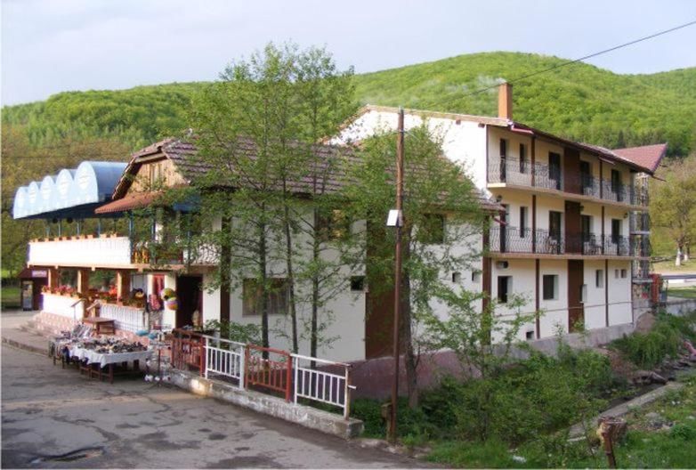 Хостелы Hostel Mirela Chişcău-45