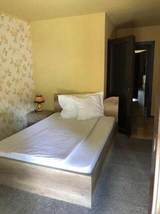Хостелы Hostel Mirela Chişcău Двухместный номер с 1 кроватью-1